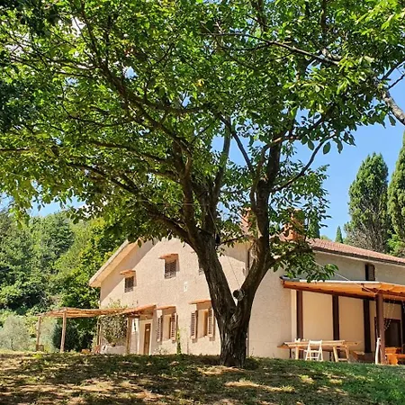 Stirpe Nel Bosco - Fiocco