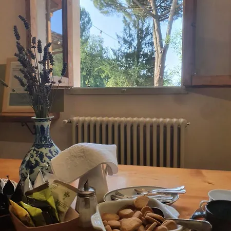 Stirpe Nel Bosco - Fiocco