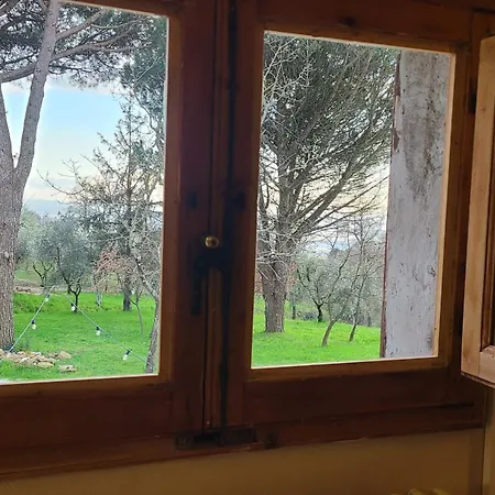 Stirpe Nel Bosco - Fiocco *