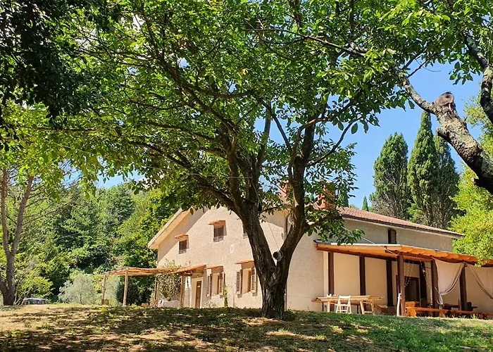 Stirpe Nel Bosco - Fiocco