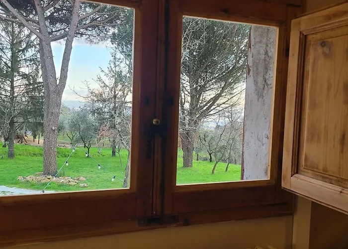 Stirpe Nel Bosco - Fiocco *